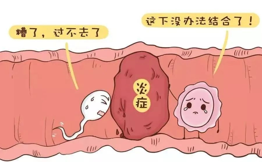 北京代孕公司代孕妈妈|安阳供卵试管,唐山市供卵试管