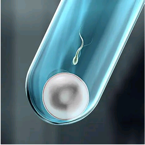 北京协和医院供卵试管各流程费用明细,2023在北京申请供卵试管必备的条件