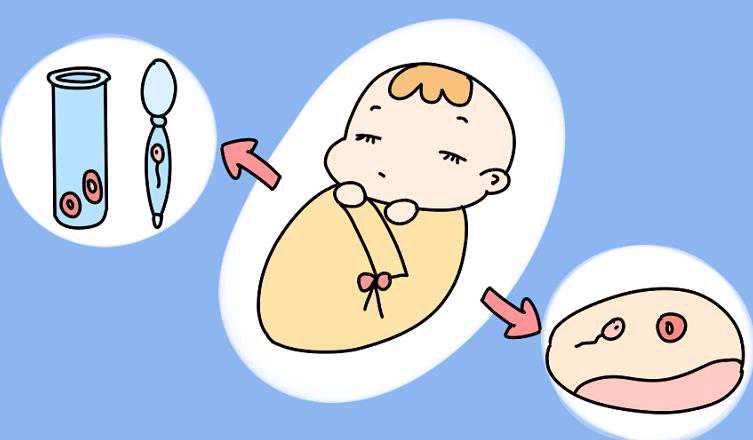 北京有第三代供卵试管吗,北京大学第三医院供卵生男孩实际成功率均已达60%?