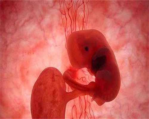 代孕几天能测胎心胎芽_上海世纪助孕多少费用