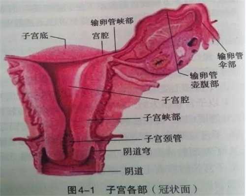 孕40周宫高40能顺产吗_可靠上海世纪代代孕
