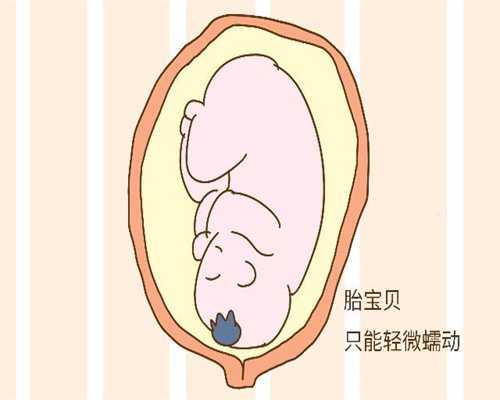 胎盘前壁会变成后壁吗_上海最好的代孕中介公司
