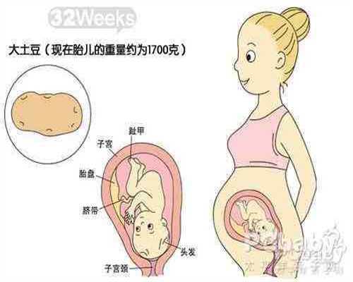 凌晨胎动十几分钟怎么回事_广州传承助孕是真的