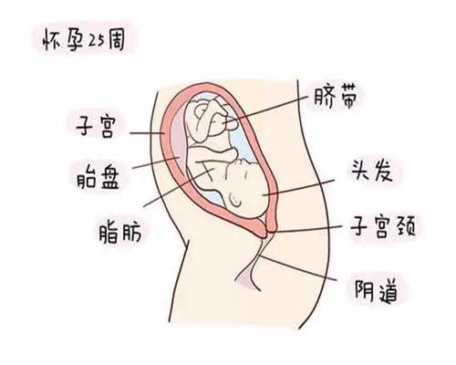 孕妇怎样才能不吐_北京代孕哪里专业