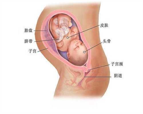 新生宝宝常见的异常现象 一定要记住_北京代孕价