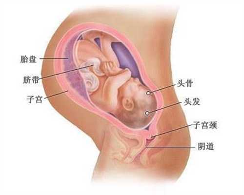 孕妇能不能吃莴苣叶_北京哪里能做第三代试管婴