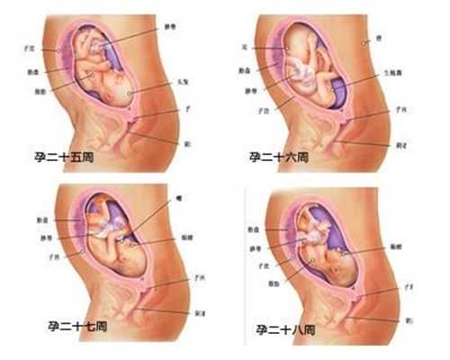 泰国代理孕母价格：怀代孕间胃痛怎么办 代孕胃