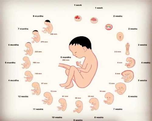 助孕一号：临产前吃什么有助于催生 临产前吃什
