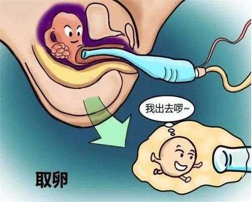 北京找人代生孩子可靠码-拉肚子会影响孕酮吗