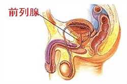 北京人工代孕多少钱：宁波新生儿医保报销需要哪些材料