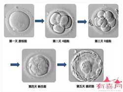 北京有哪些代孕机构：北京医院代孕哪家好呢：痛经和宫寒会影响生育吗