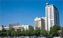 北京试管代孕医院：1617688407224