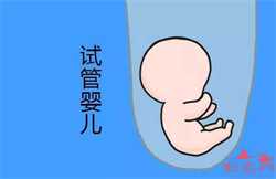 北京怎么样的人可以代孕：1617684657617