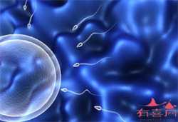 北京2021最新技术代孕：北京代孕代怀孕机构：怀孕反胃想吐怎么办