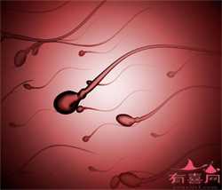 北京哪里有需要代孕生儿子的：怀孕多久感到胸部胀