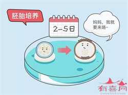 北京代孕妈妈哪里便宜：北京代孕靠谱嘛：两岁的男孩为什么还不会说