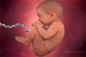 北京代孕是怎么一个流程：北京肾功能不多可以找代孕吗：感染了hpv能生孩子吗