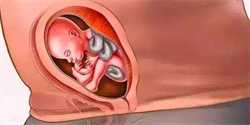 北京代孕正规吗-试管婴儿移植后拉肚子会不会对胎儿造成有影响吗