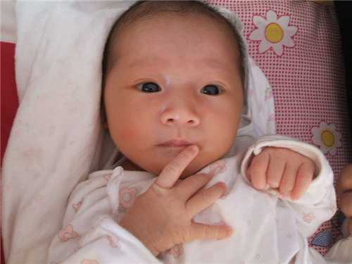 北京正规代孕价格-在河北辛集当地能做助孕试管婴儿吗？