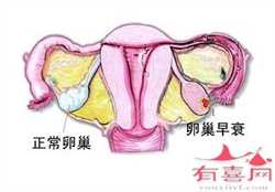 北京合法代孕价格_北京代孕机构安全吗