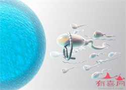 北京全国可以供卵的公立医院_北京国内供卵合法的医院