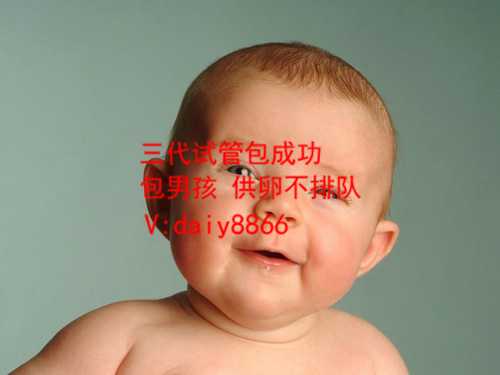 太原供卵经历_中国第一例试管婴儿:正规医院做试管婴儿多少钱