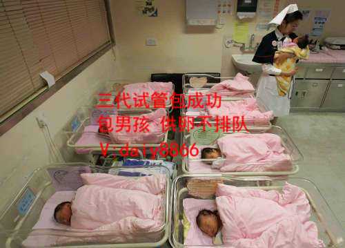 广州助孕包男孩_美国试管婴儿的锌原子火花或有助于受精卵发育
