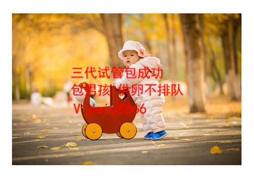 美福嘉儿打人_上海国妇婴第三代试管婴儿胚胎筛查多少钱