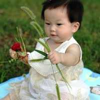 北京代怀宝宝需要多少钱_国内申请做三代试管婴儿的条件