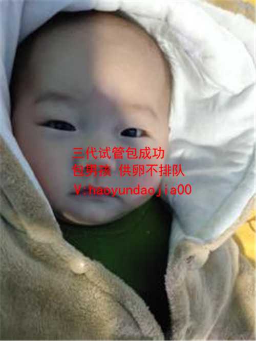 北京借卵试管成功率_北京嘉乐生殖中心医院_胚胎已经停止几次，可以使用试管