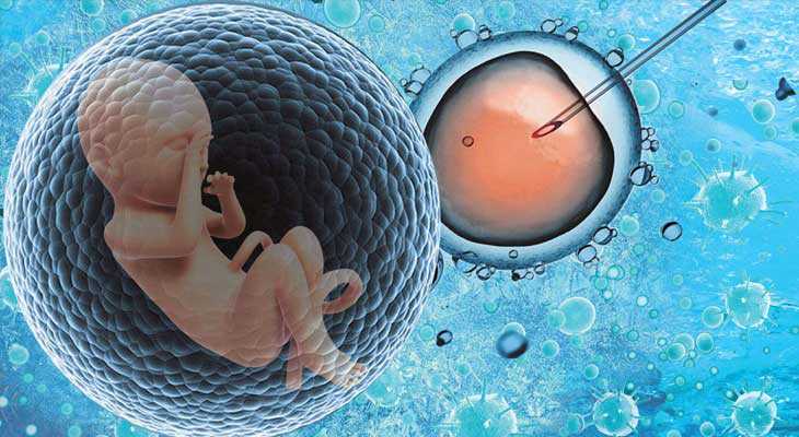 武威53岁供卵的成功率有多大_试管婴儿促排取卵流程
