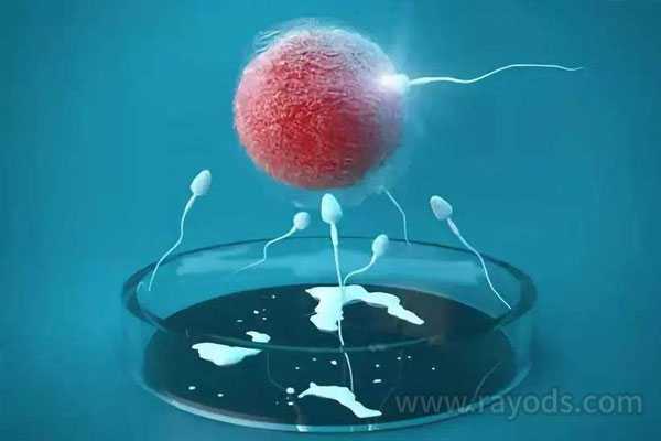 阿拉善盟39岁供卵试管婴儿包成功_做试管婴儿时，卵泡需要多大才可以做取卵手