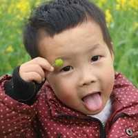 北京第三代试管哪里能做_做试管婴儿需要多久可以进行第二次？