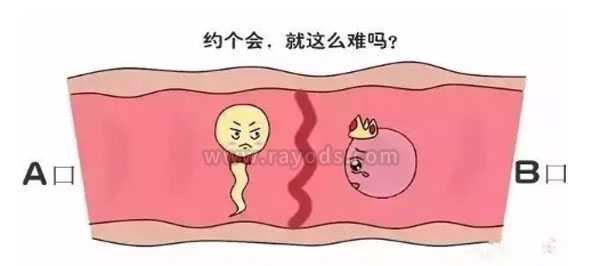 香港借卵生子违法吗_发生输卵管堵塞怎么办?输卵管两边堵塞只能做试管了吗