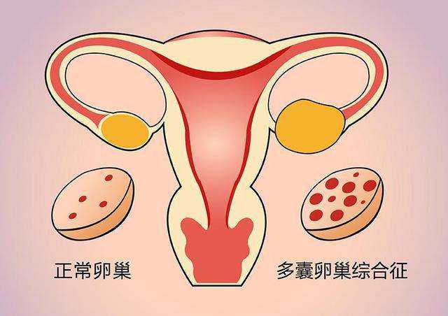 北京供卵助孕公司