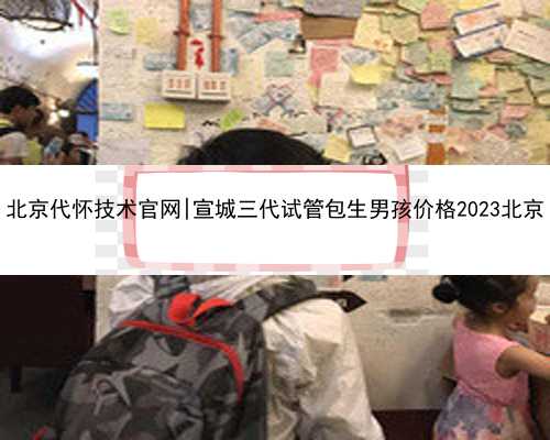 北京代怀技术官网|宣城三代试管包生男孩价格2023北京