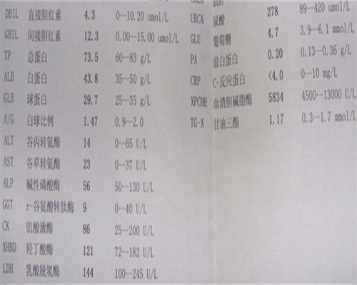 43岁不孕
